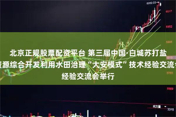 北京正规股票配资平台 第三届中国·白城苏打盐碱地资源综合开发利用水田治理“大安模式”技术经验交流会举行