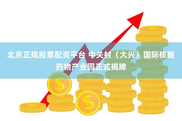 北京正规股票配资平台 中关村（大兴）国际核酸药物产业园正式揭牌